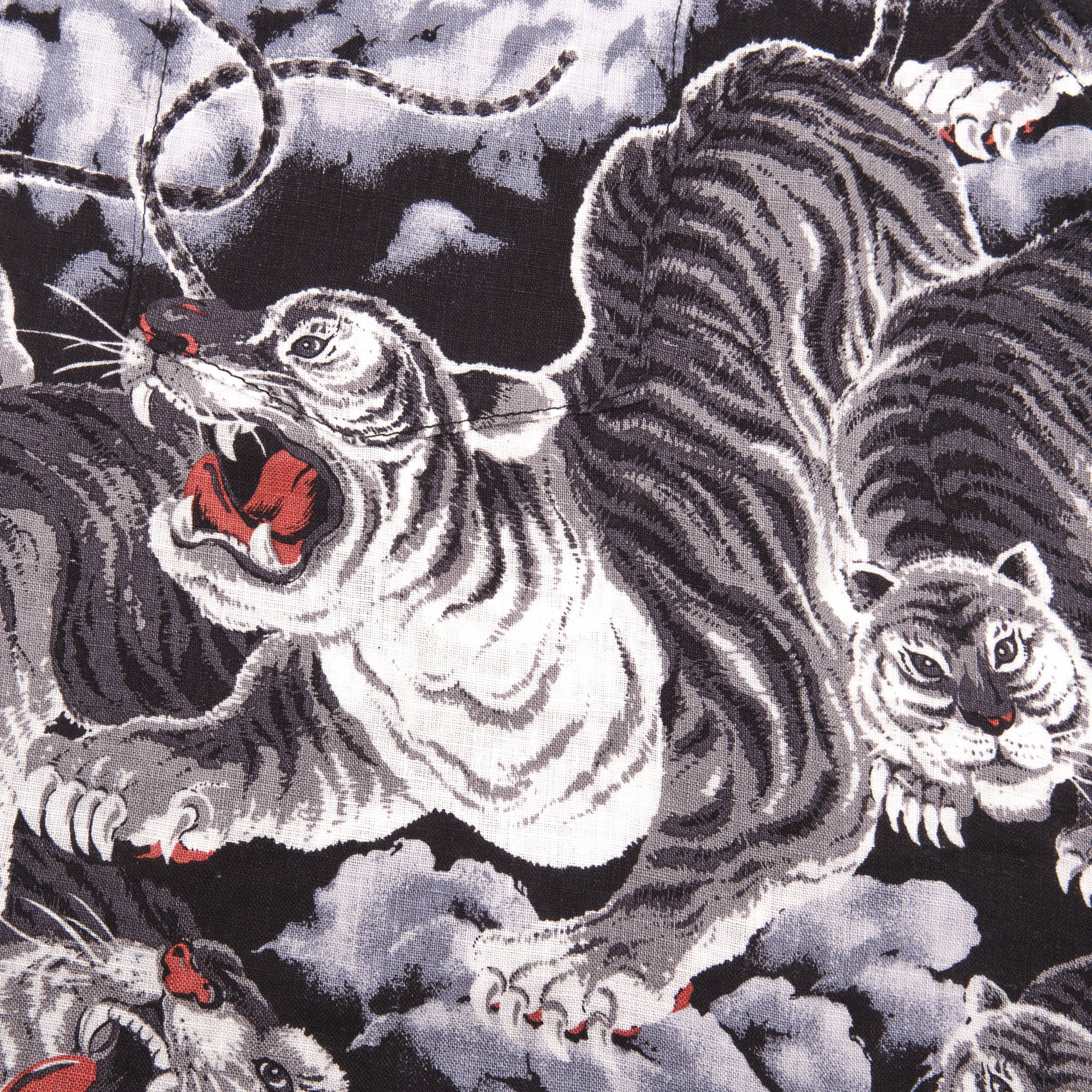 Hawaiian <span> Black Tigers </span> - Image 7