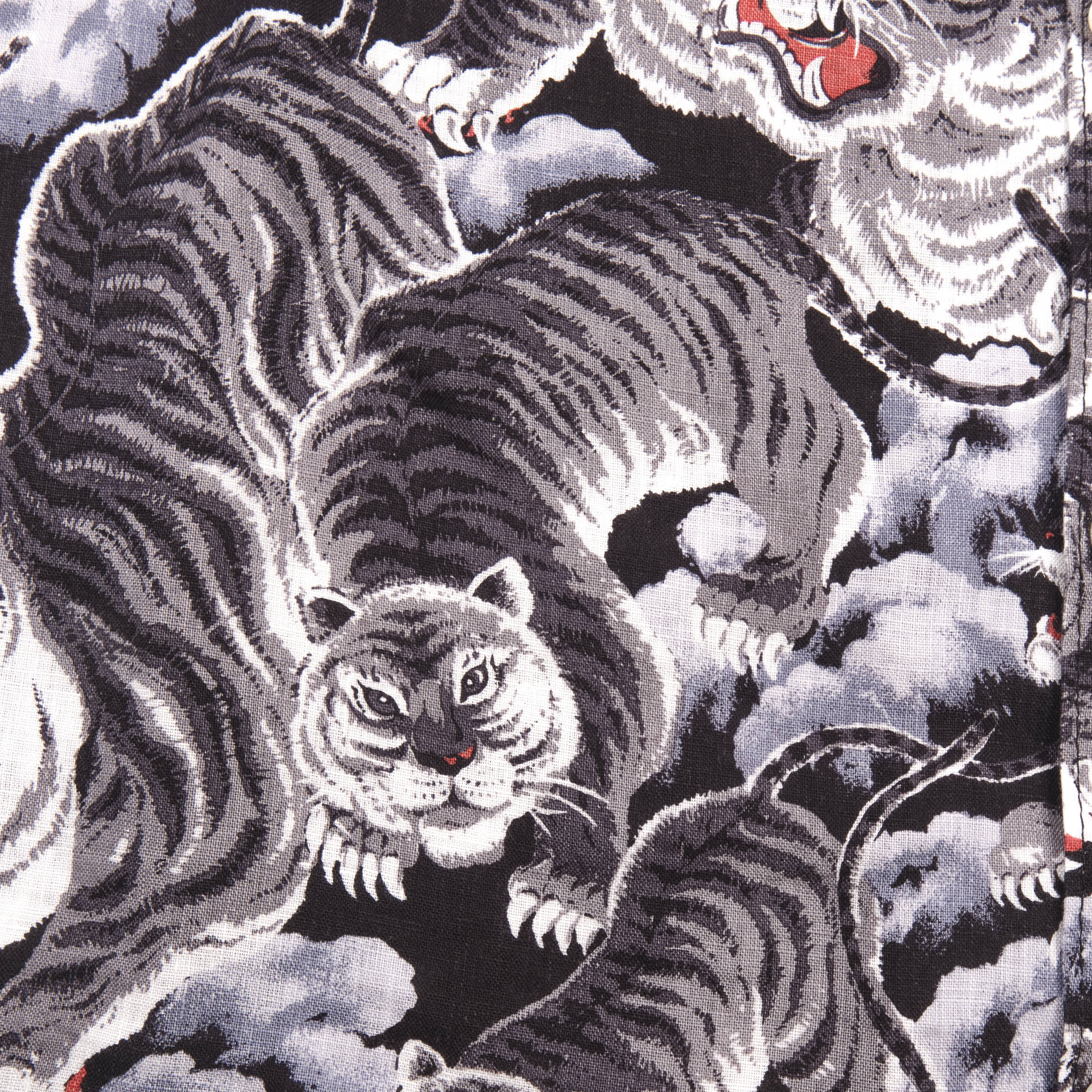 Hawaiian <span> Black Tigers </span> - Image 9